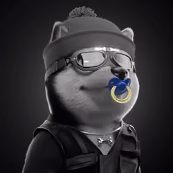 Baby Shiba #3543