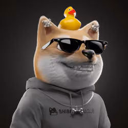 Baby Shiba #3341