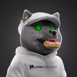 Baby Shiba #7870
