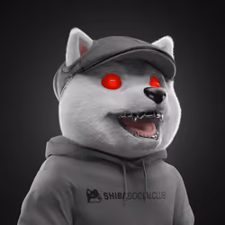 Baby Shiba #2597