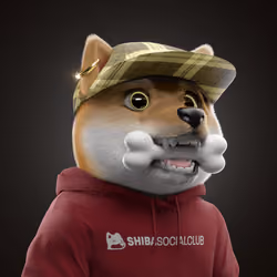 Baby Shiba #3134
