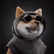 4962