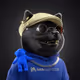 658