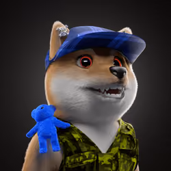 Baby Shiba #2983