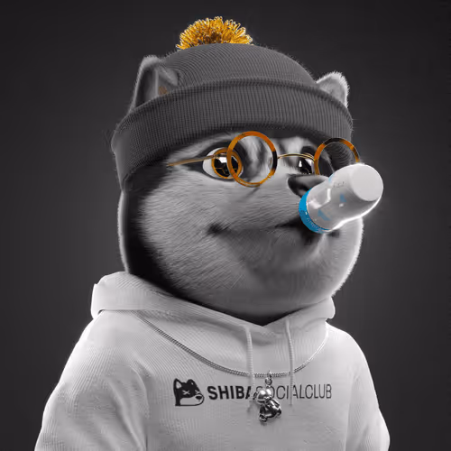 Baby Shiba #258
