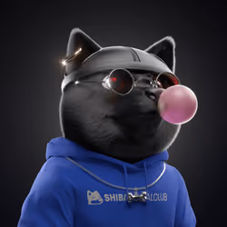 Baby Shiba #2549