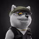 7070