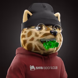 Baby Shiba #6745