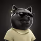 5231