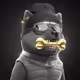 5317