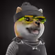 5269