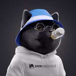 Baby Shiba #3893