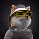 8484