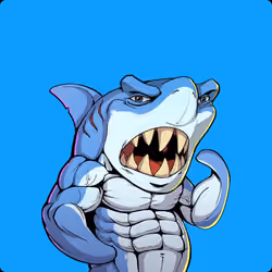 Unnamed Shark