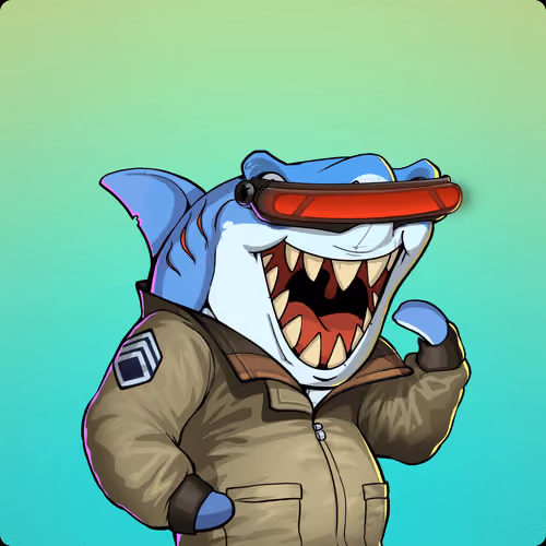 Unnamed Shark