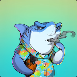 Unnamed Shark
