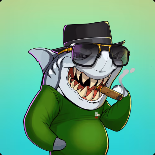 Unnamed Shark