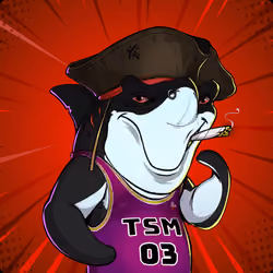 Unnamed Shark
