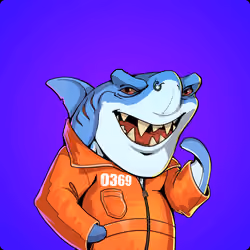 Unnamed Shark