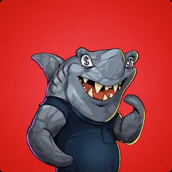Unnamed Shark