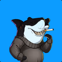 Unnamed Shark