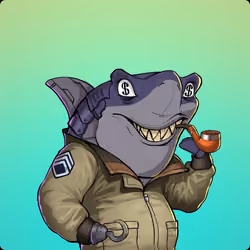 Unnamed Shark