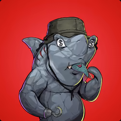 Unnamed Shark