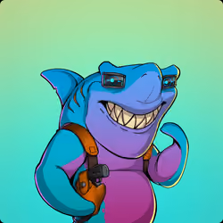 Unnamed Shark