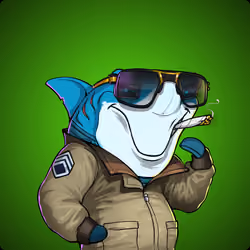 Unnamed Shark