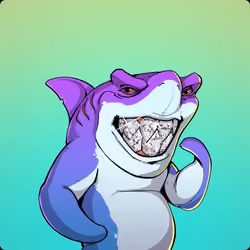 Unnamed Shark