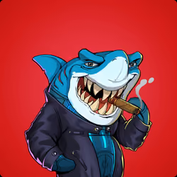Unnamed Shark