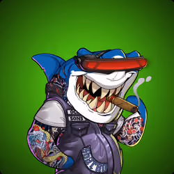 Unnamed Shark