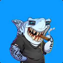 Unnamed Shark