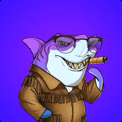 Unnamed Shark