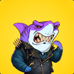 Unnamed Shark