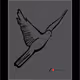 96