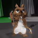 1218