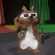 1129
