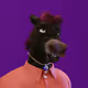 4851