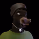 9529