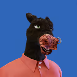 8162