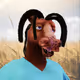6207