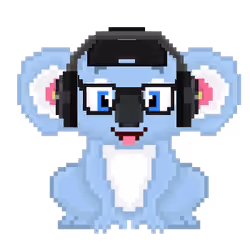 CryptoKoala #81