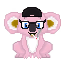 CryptoKoala #80