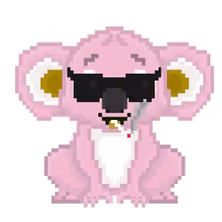 CryptoKoala #150