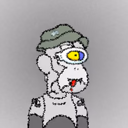 55