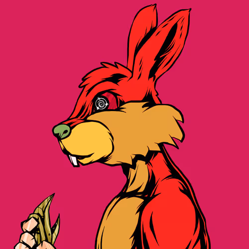 Shinobibunnydawn