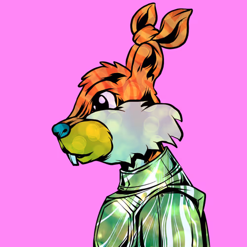 Shinobibunnydawn
