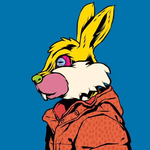 Shinobibunnydawn