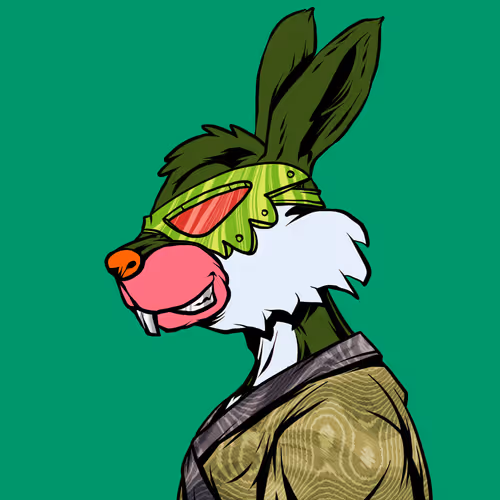 Shinobibunnydawn